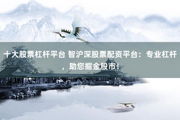 十大股票杠杆平台 智沪深股票配资平台：专业杠杆，助您掘金股市！