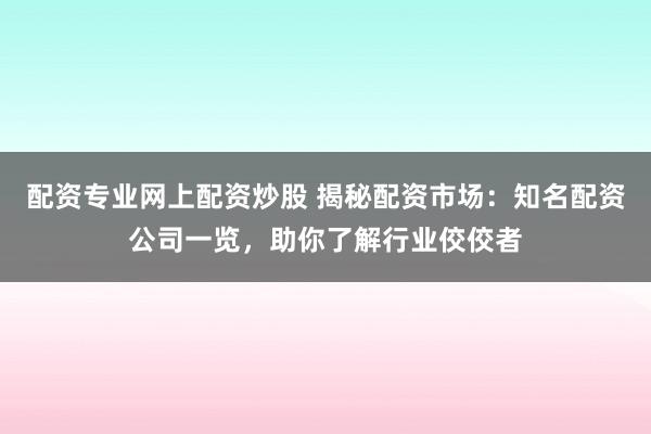配资专业网上配资炒股 揭秘配资市场：知名配资公司一览，助你了解行业佼佼者