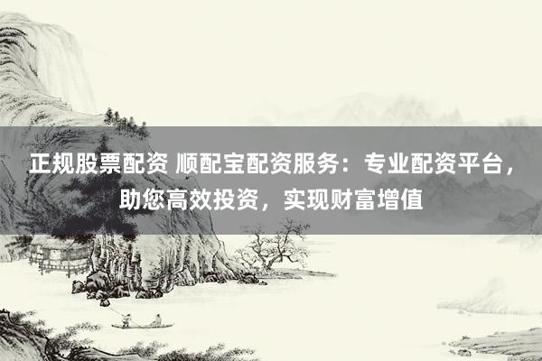 正规股票配资 顺配宝配资服务：专业配资平台，助您高效投资，实现财富增值