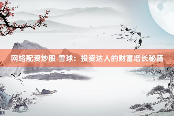 网络配资炒股 雪球：投资达人的财富增长秘籍
