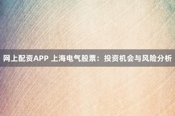 网上配资APP 上海电气股票：投资机会与风险分析