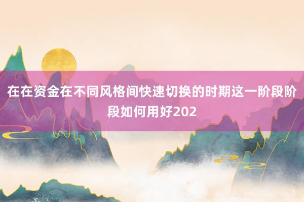 在在资金在不同风格间快速切换的时期这一阶段阶段如何用好202