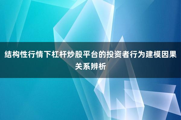 结构性行情下杠杆炒股平台的投资者行为建模因果关系辨析